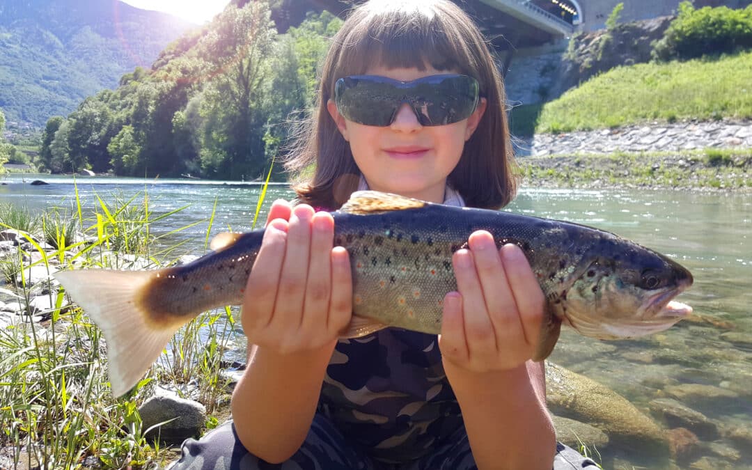 Fishing in the Arizona White Mountains