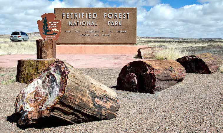 petrified-forest petrified-forest