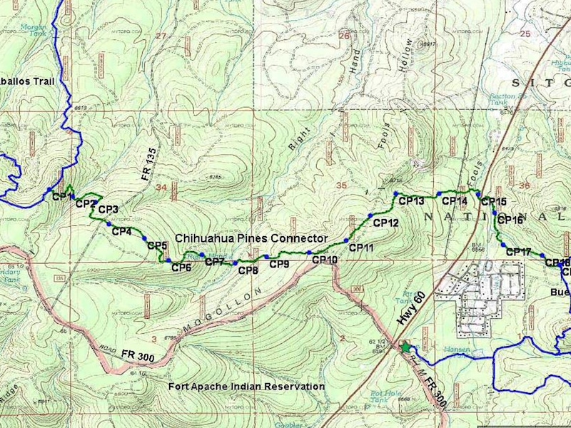 chihuahua-pine-connector-800x600