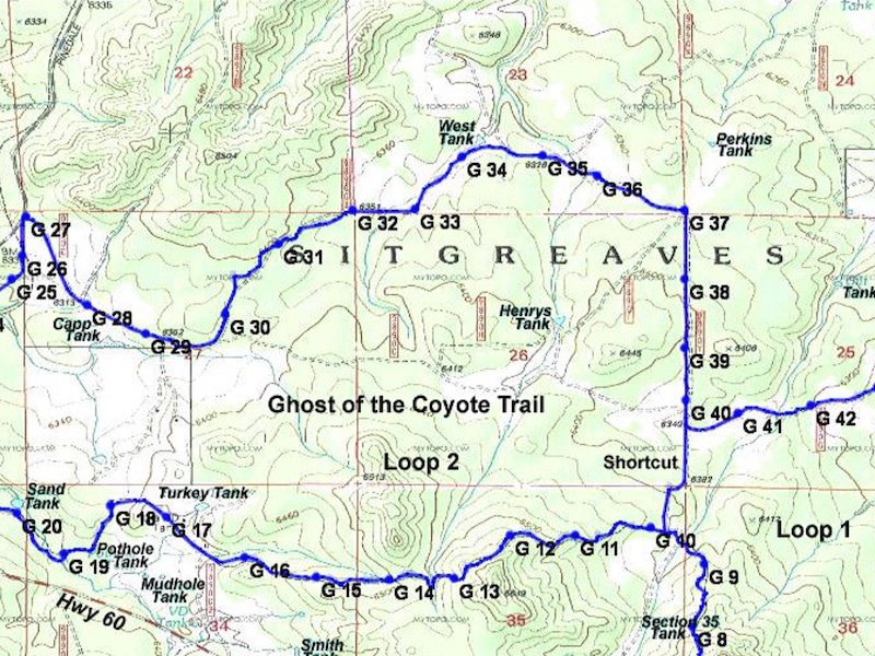 ghost-of-the-coyote-800x600