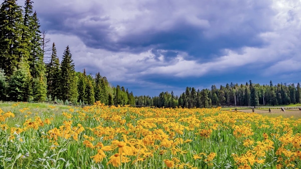 Places To Stay in Arizonas White Mountains