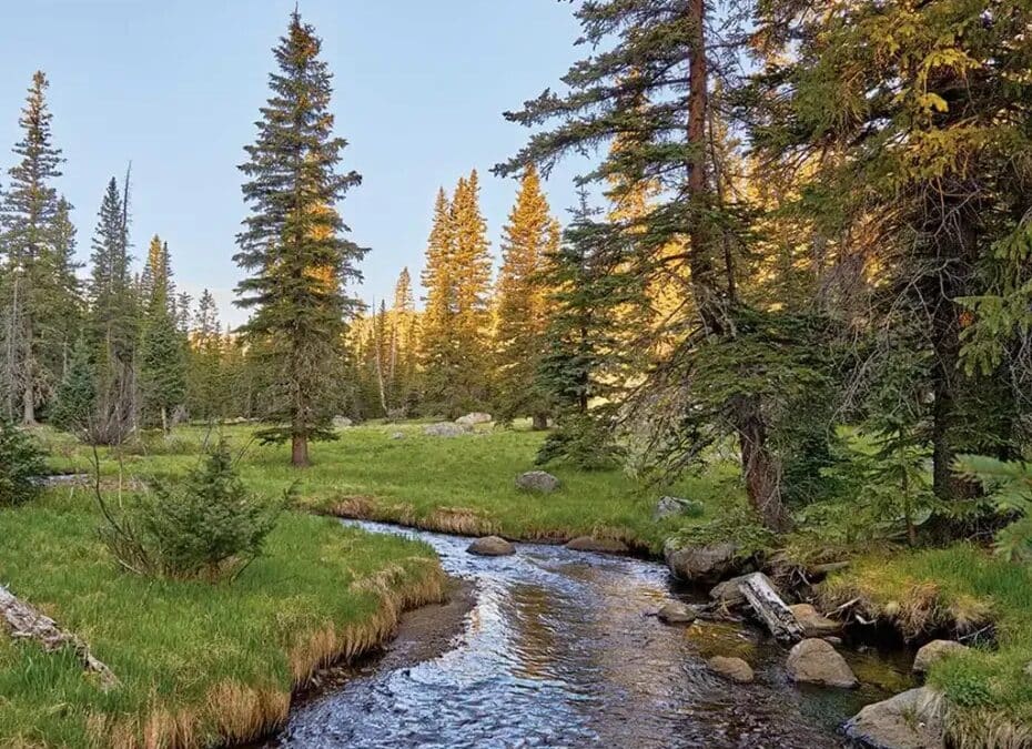 Hannagan Meadow and Alpine