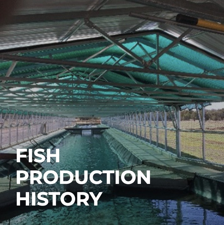 Silver Creek History