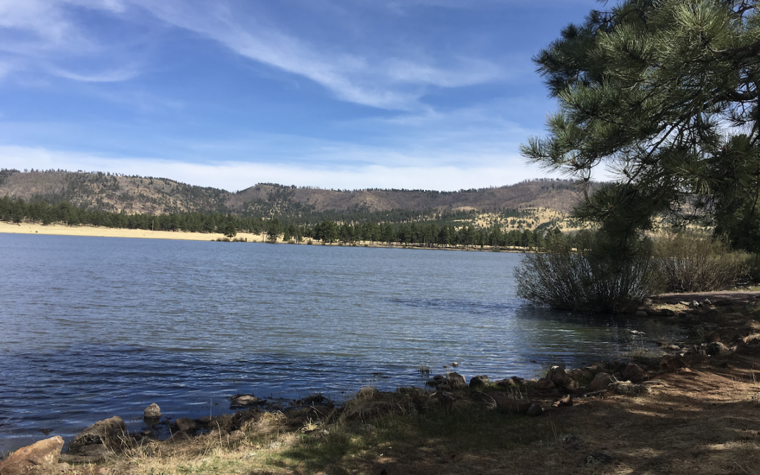 Arizona White Mountain Lakes