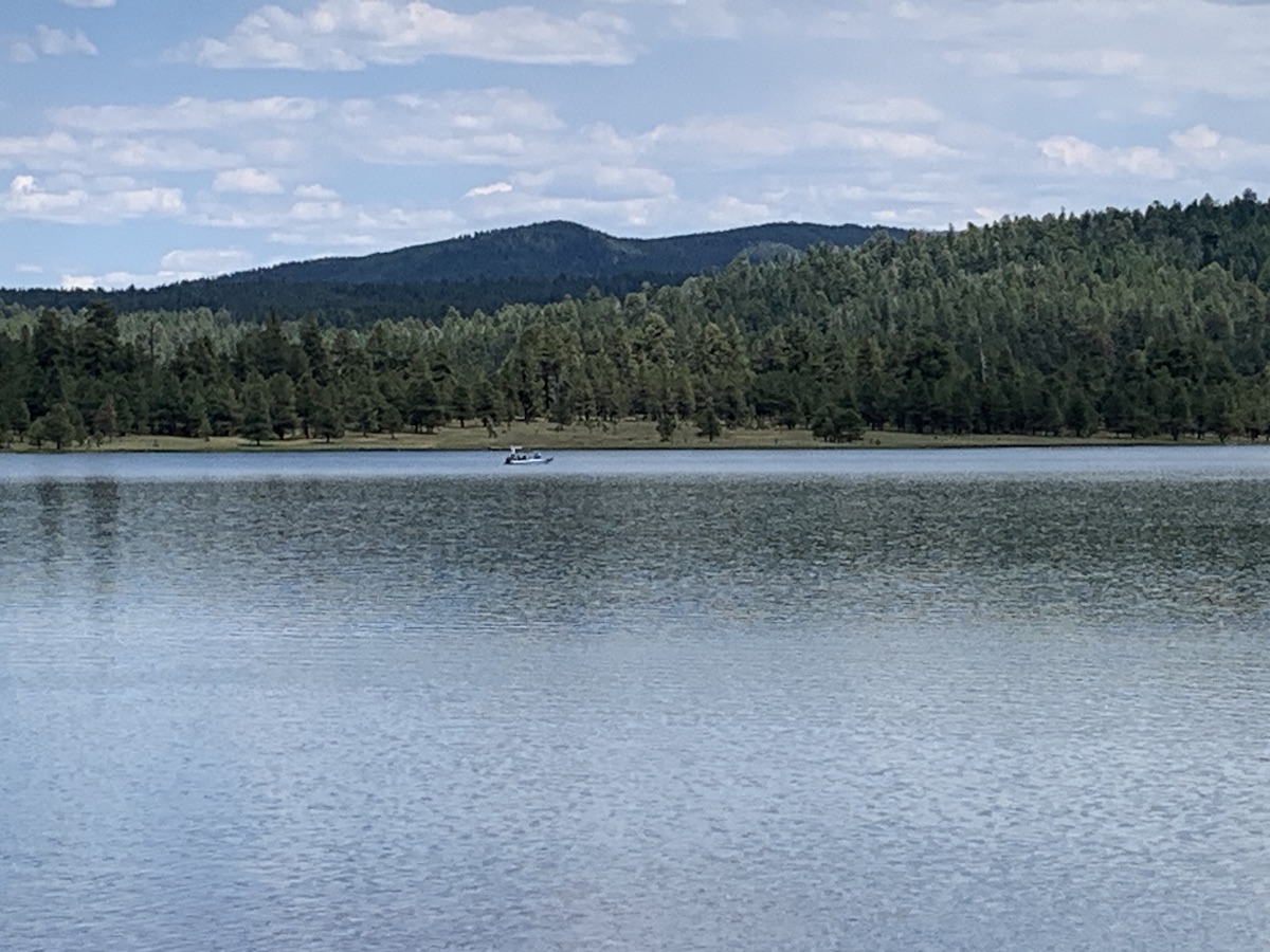 IMG_6633 1200x900