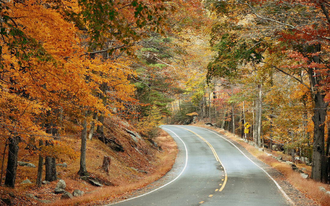 Autumn Adventures in the Arizona White Mountains
