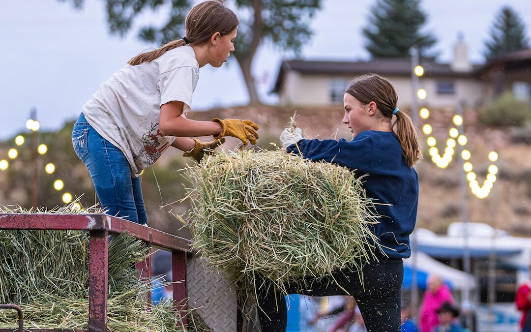 Raising Children On A Mountain Homestead