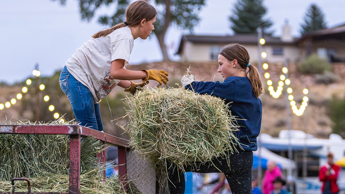Raising Children On A Mountain Homestead