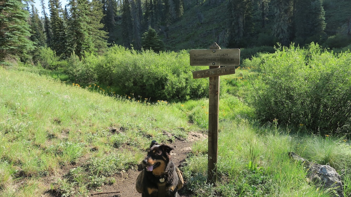 Thompson Trail 629