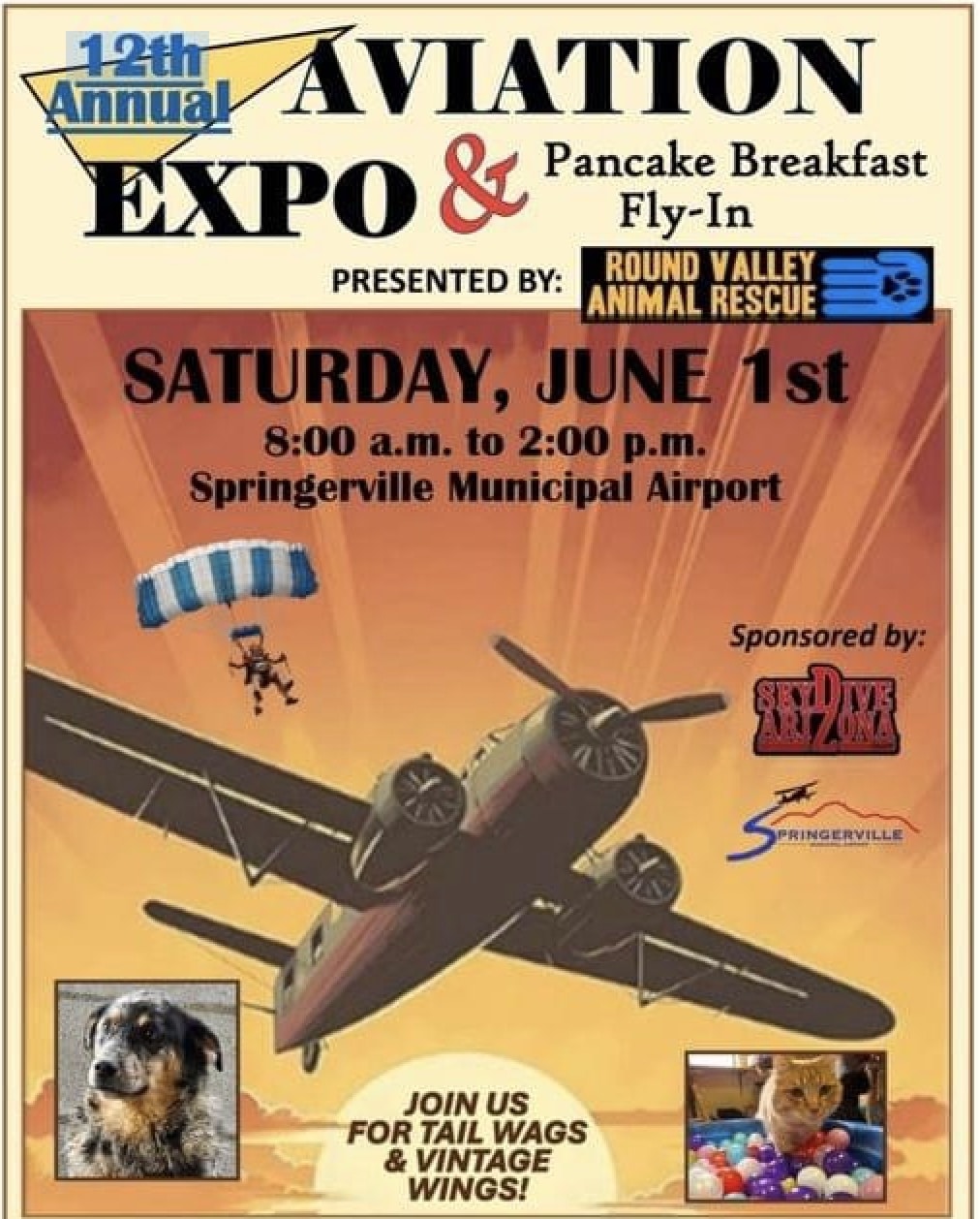 Springerville Aviation Expo