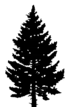 pine-tree-1 (2)