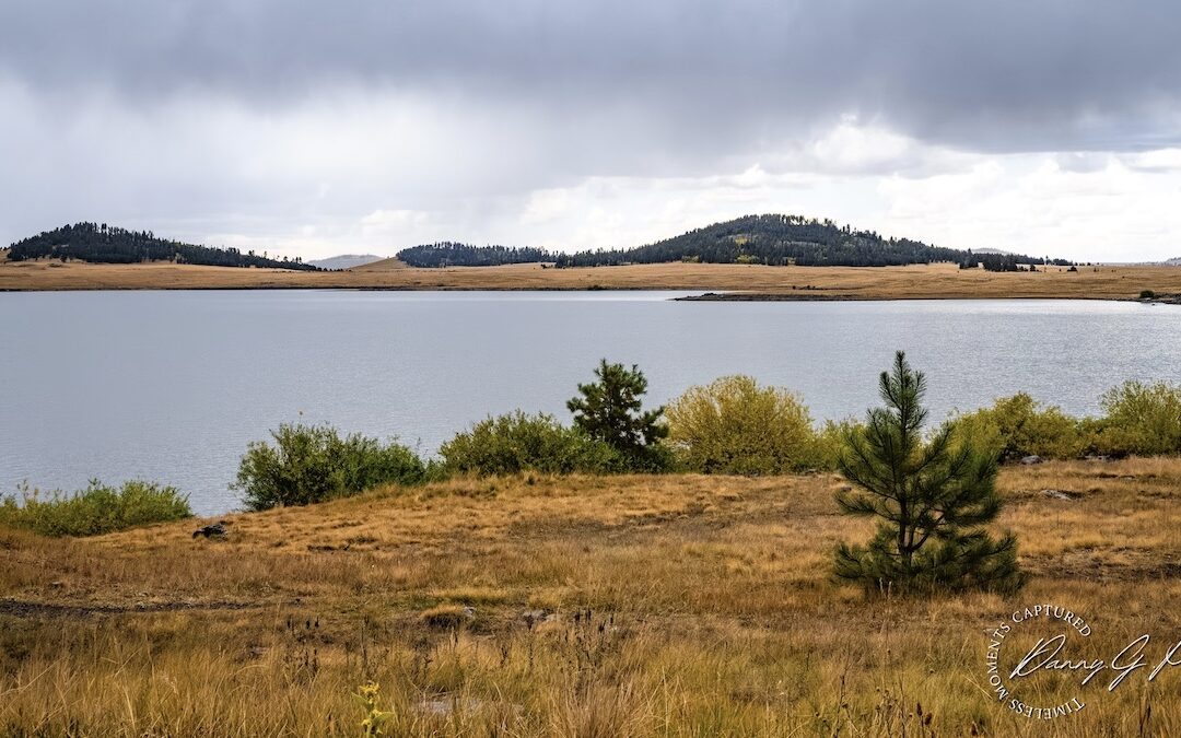 Discover 5 Amazing Big Lake Campgrounds in Arizona’s White Mountains
