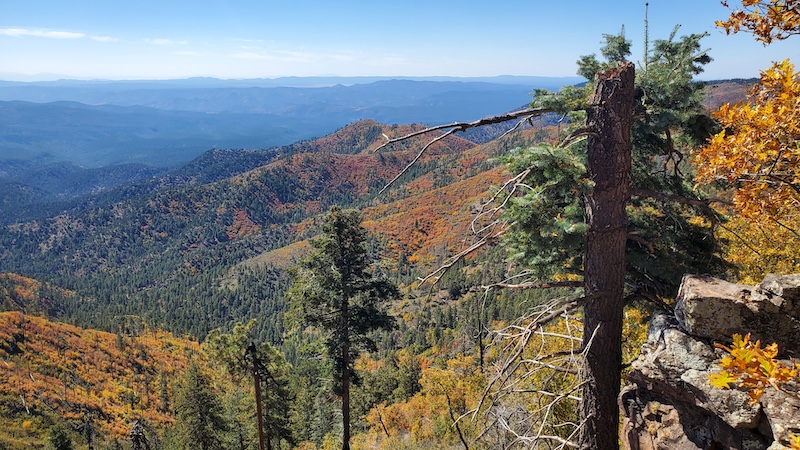 Blue Vista Scenic Overlook