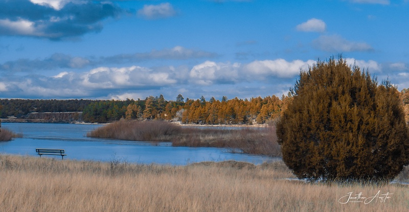Fool Hollow Lake Show Low Arizona
