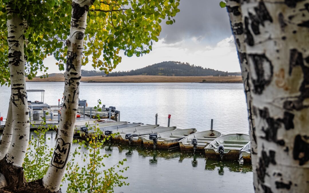 #1 Ultimate Family Camping Weekend – Fishing at Big Lake in the White Mountains AZ