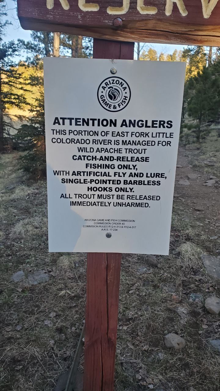 East Baldy Trail catch and release East Baldy Trail catch and release