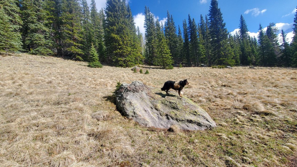 West Baldy Trail - Westlie West Baldy Trail - Westlie