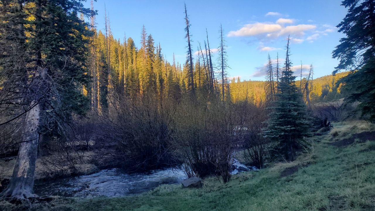 2-West Baldy Trail