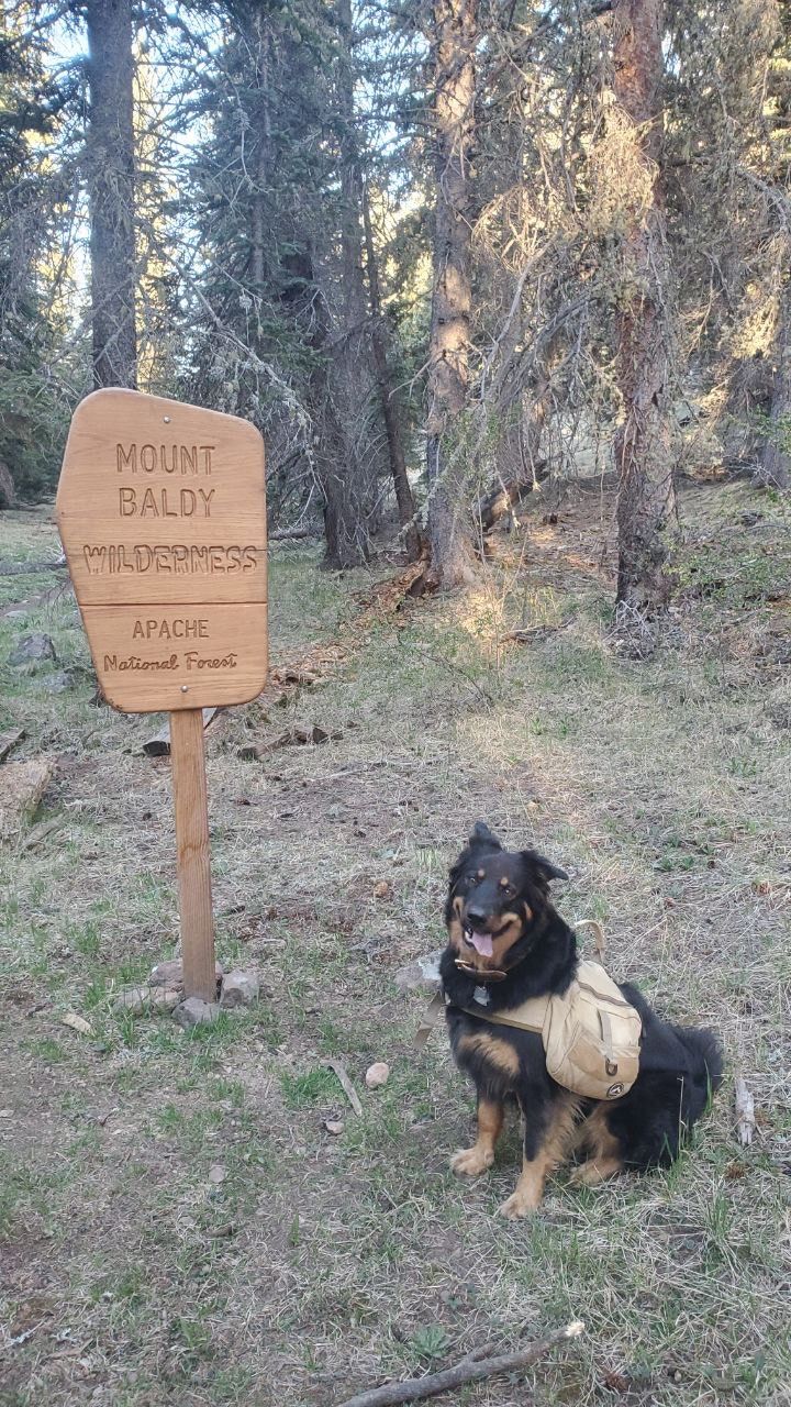 2-v-sign West Baldy Trail