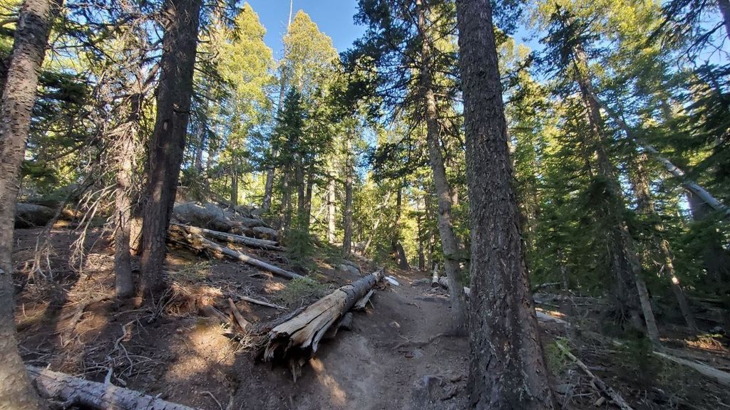 East Baldy Trail East Baldy Trail