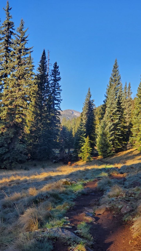 West Baldy Trail West Baldy Trail