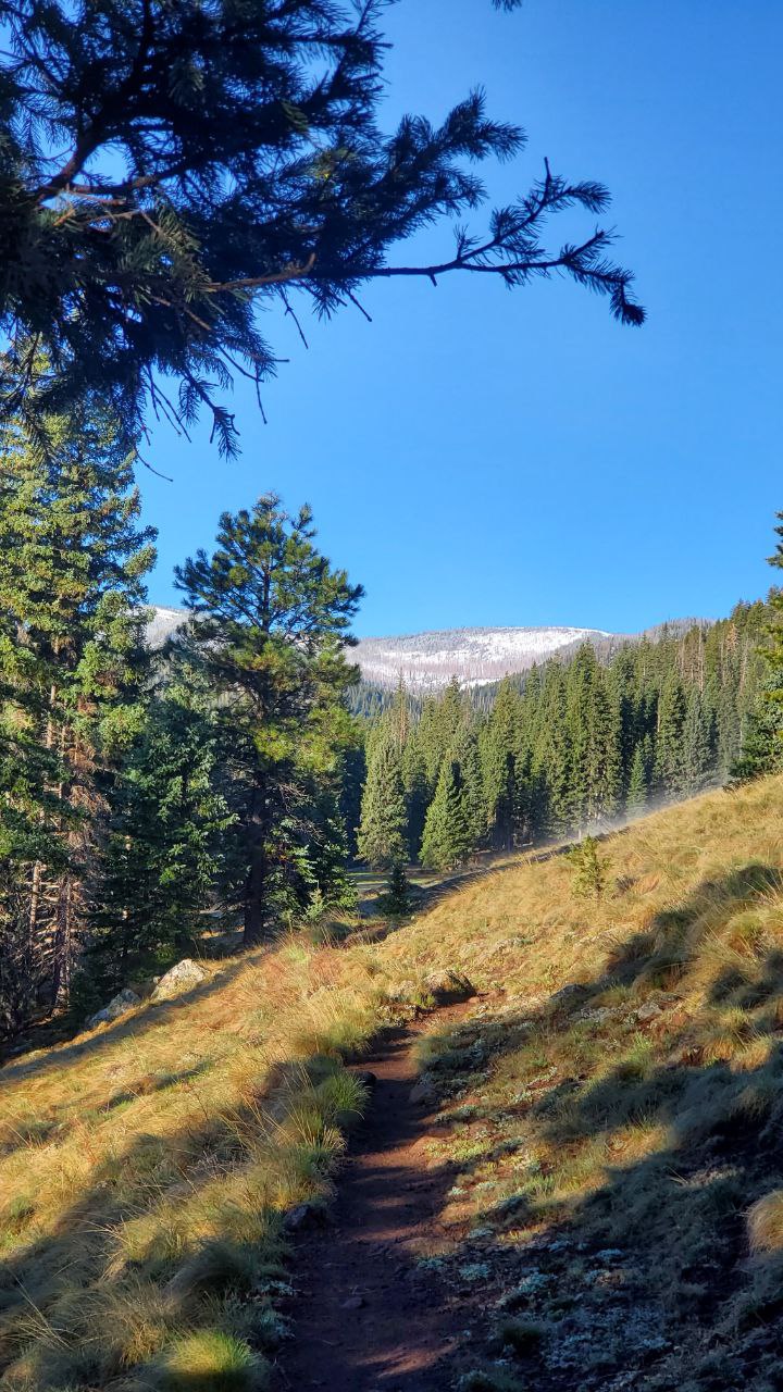 West Baldy Trail West Baldy Trail