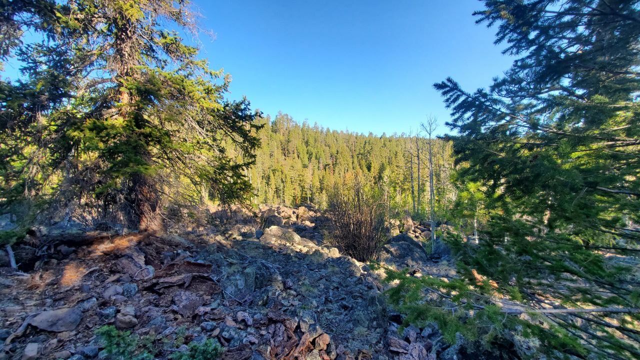 Ponderosa Loop Trail Ponderosa Loop Trail