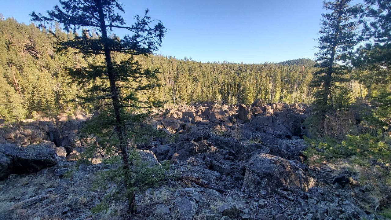 Ponderosa Loop Trail Ponderosa Loop Trail