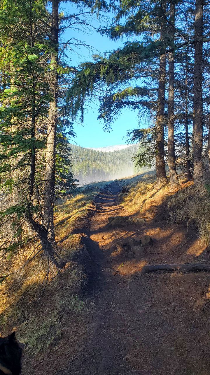 West Baldy Trail West Baldy Trail