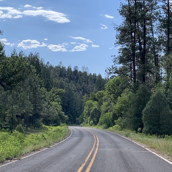 Mountain Roads and Traffic Conditions