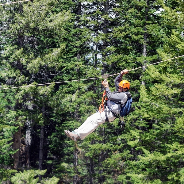 Zip Lines - Sunrise Park Resort Zip Lines - Sunrise Park Resort
