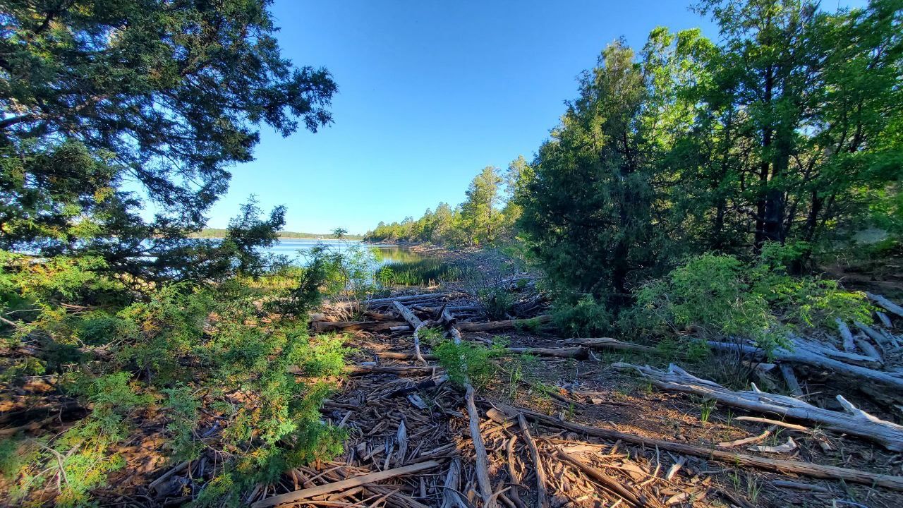 Show Low Lake Trail Show Low Lake Trail