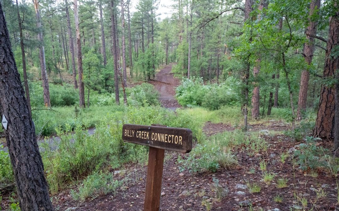 Hiking The Beautiful Billy Creek Connector #107A
