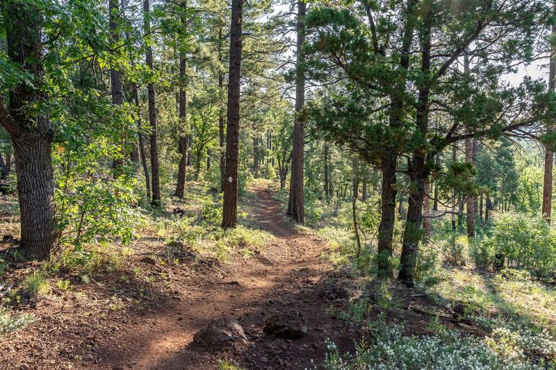 Country Club Trail #632