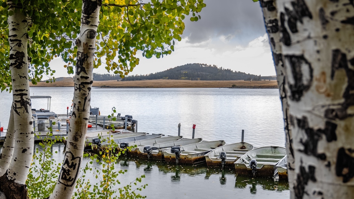 Fishing and Boating Week in the Arizona White Mountains