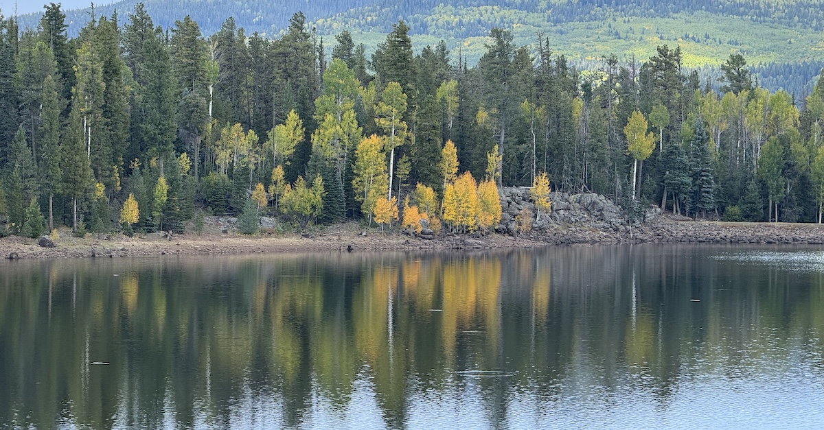 A-1 Lake White Mountains Arizona