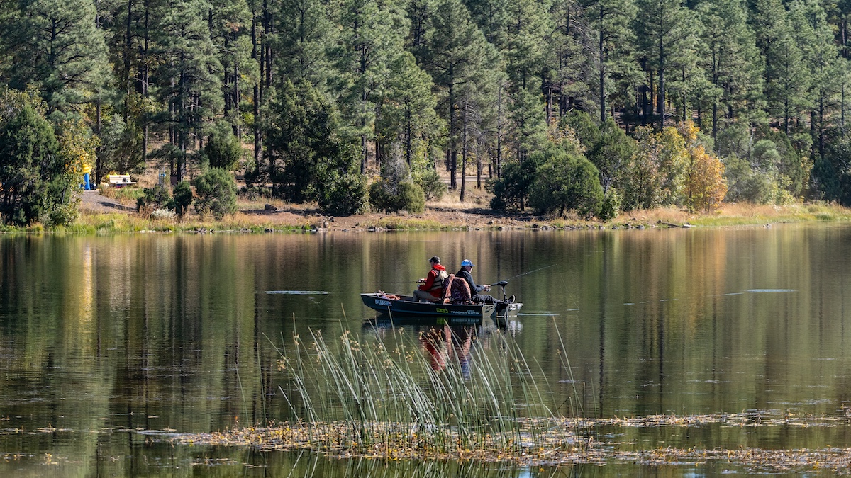 Woodland Lake - Arizona White Mountains - Photo by Jonathan Austen Woodland Lake - Arizona White Mountains - Photo by Jonathan Austen
