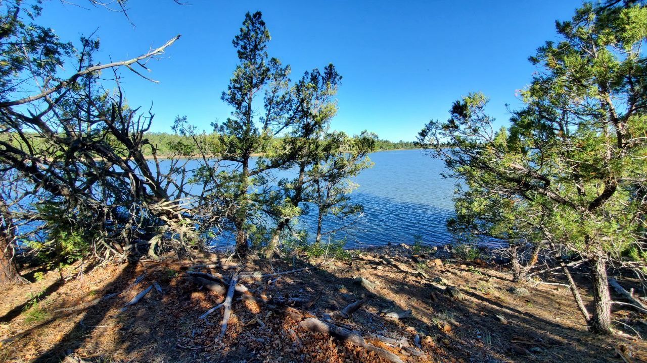 Show Low Lake Trail Show Low Lake Trail