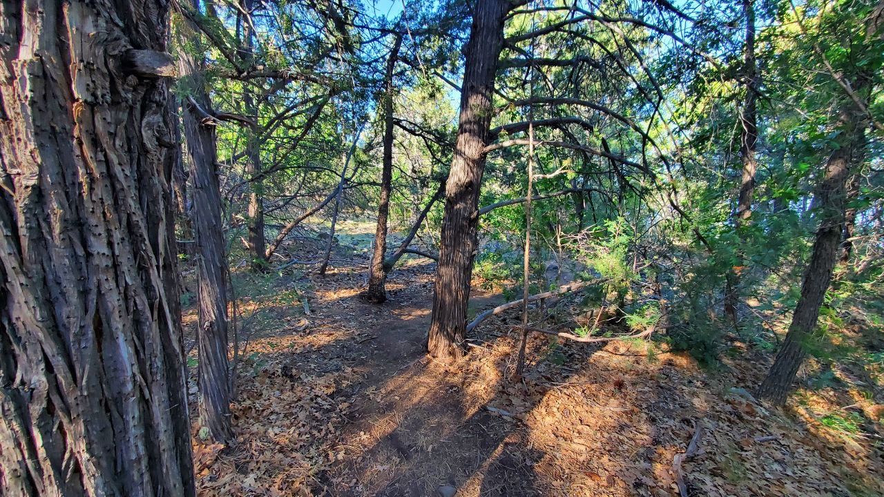 Show Low Lake Trail Show Low Lake Trail