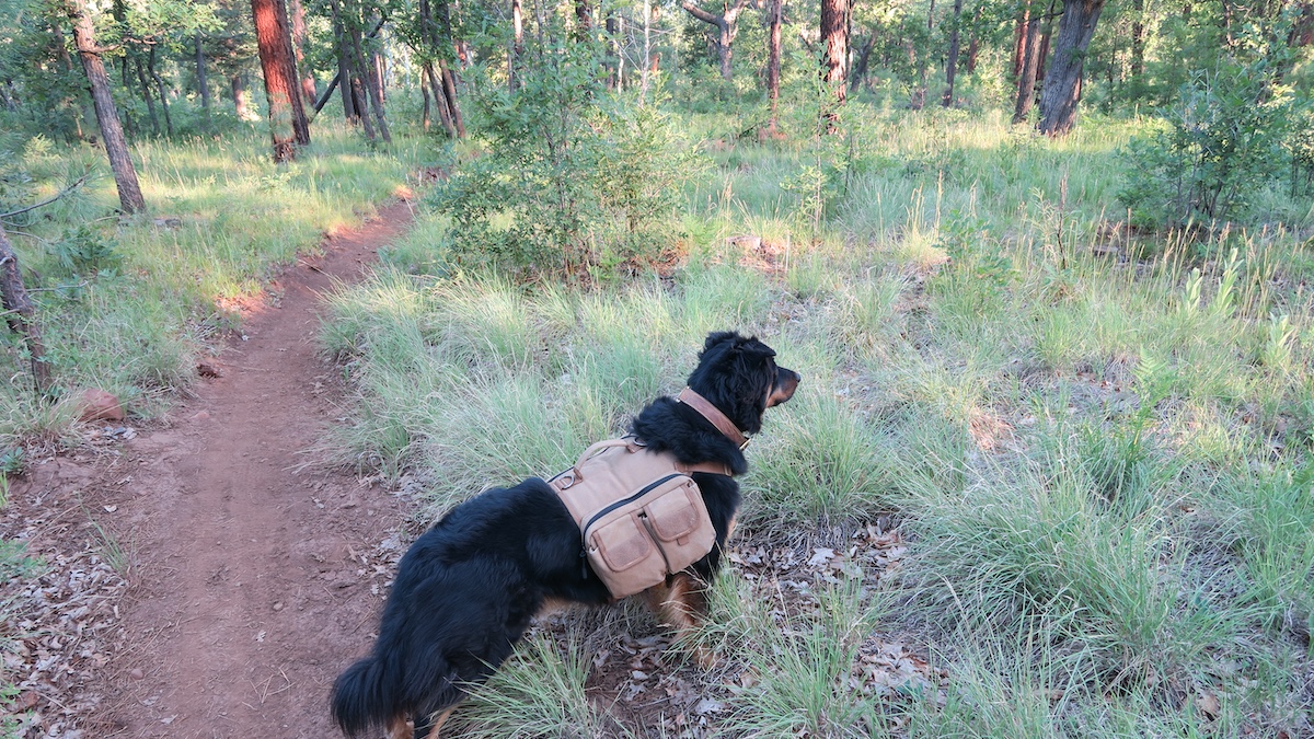 6-Westlie Springs Trail #633