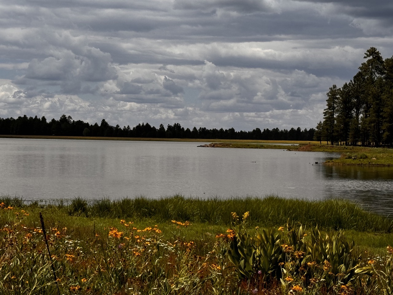 Horseshoe Cienega Lake Horseshoe Cienega Lake