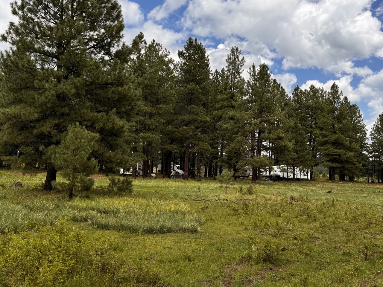 Arizona White Mountains Campgrounds