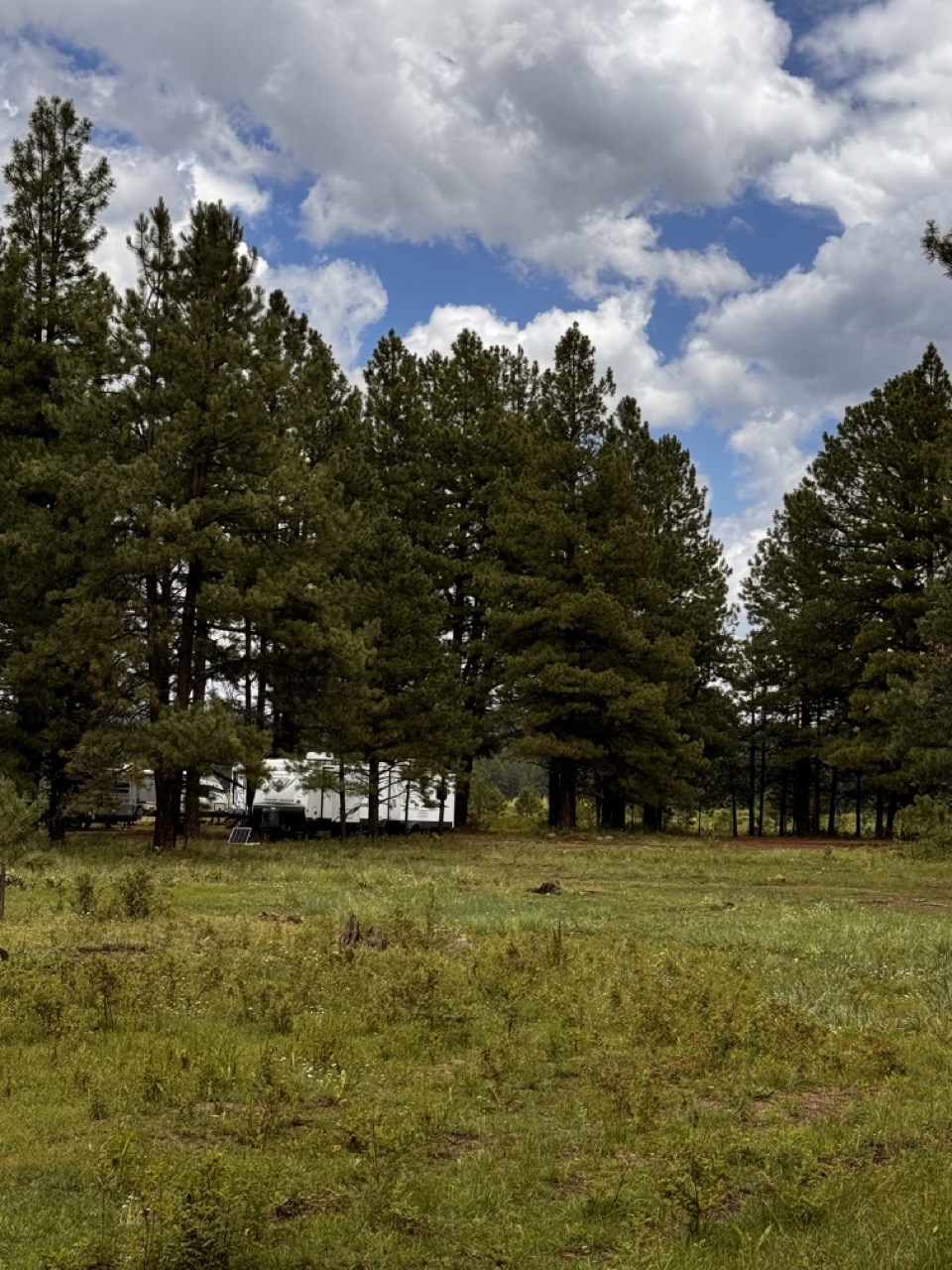 Horseshoe Cienega Lake Camping Horseshoe Cienega Lake Camping
