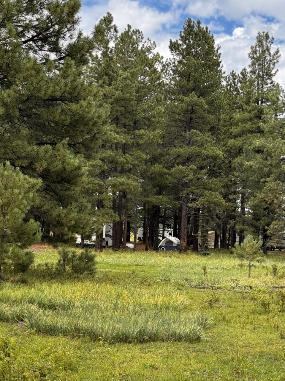 Horseshoe Cienega Lake Camping Horseshoe Cienega Lake Camping