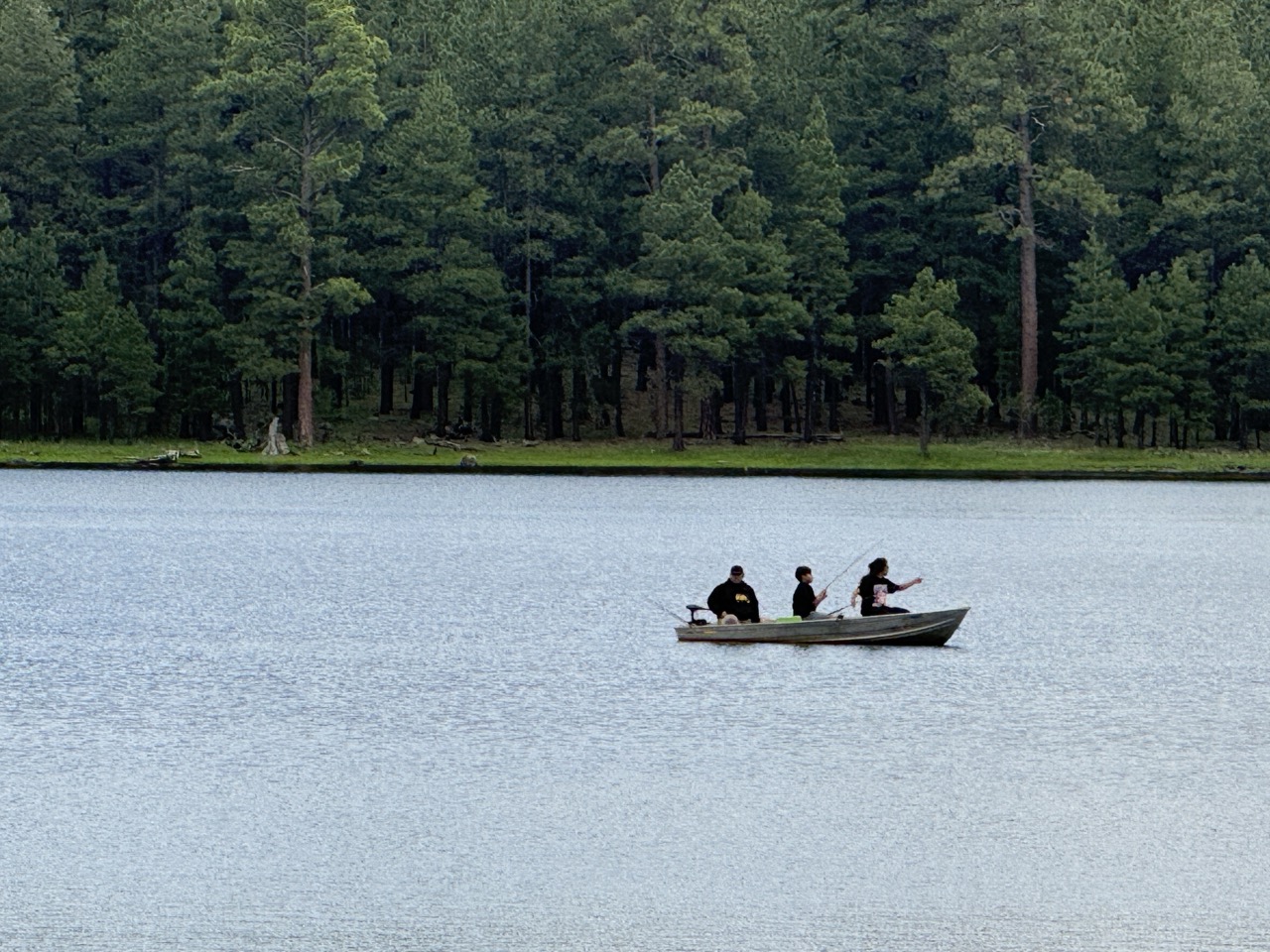 Horseshoe Cienega Lake Fishing Horseshoe Cienega Lake Fishing