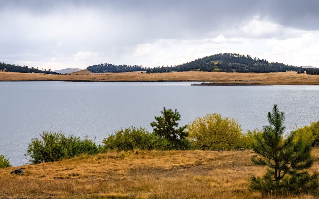 Brookchar Campground