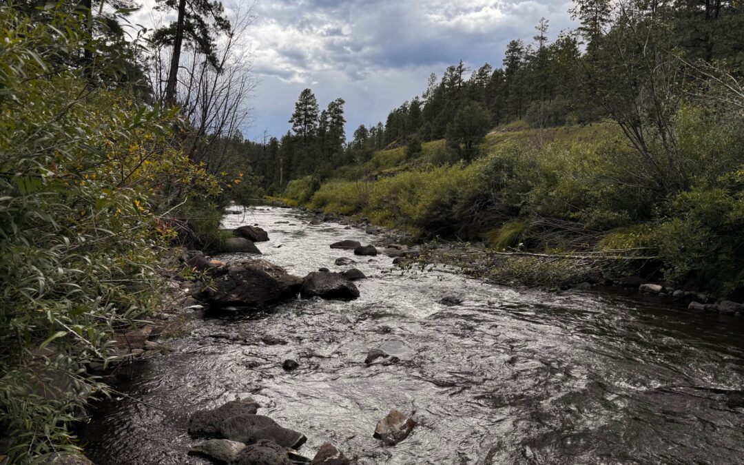 Buffalo Crossing Campground