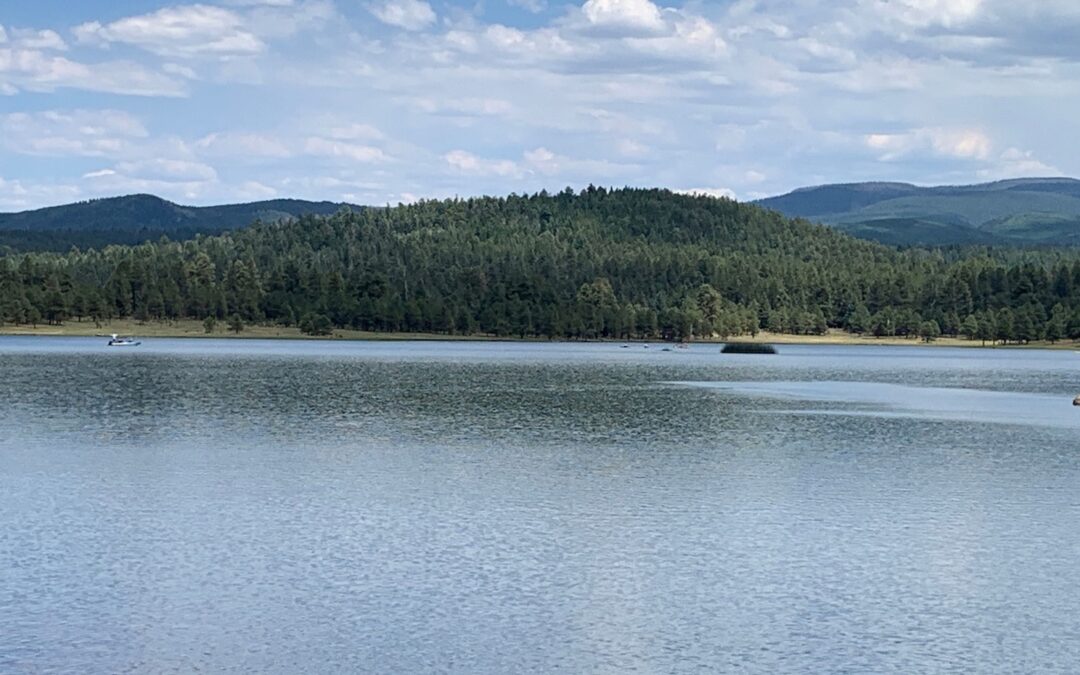 Hawley Lake Campground