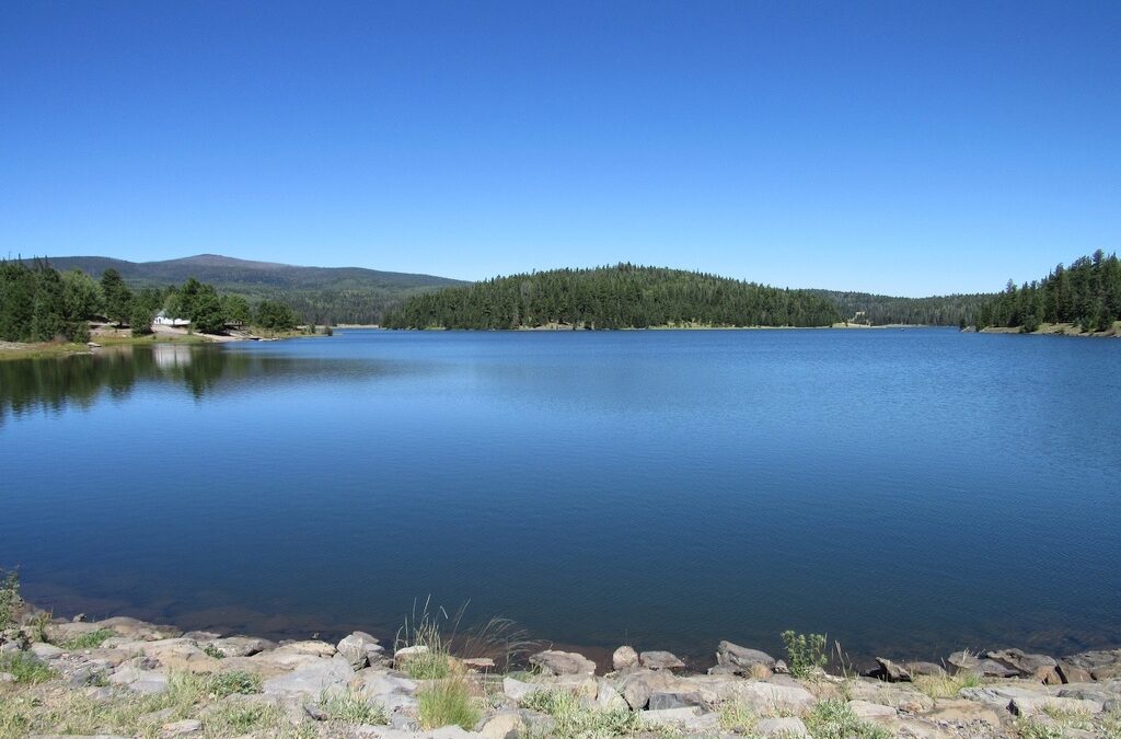Reservation Lake Campground