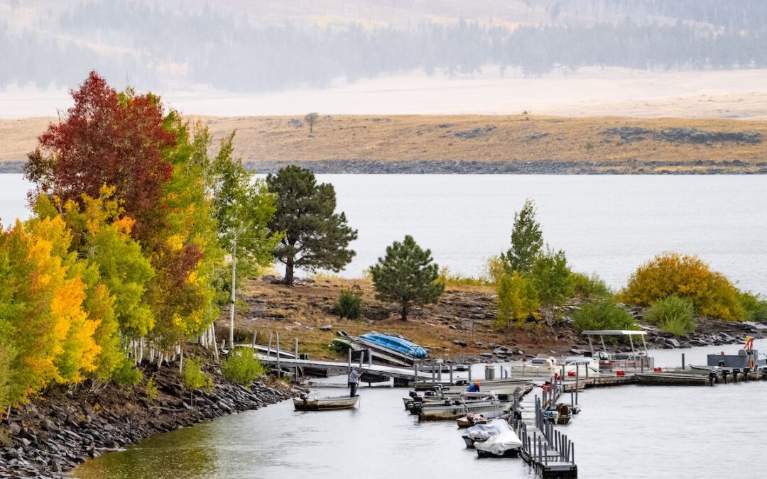 Apache Trout Campground